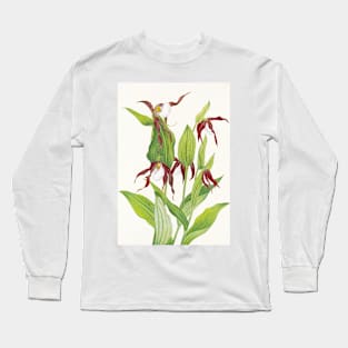 Cypripedium montanum - Botanical Illustration Long Sleeve T-Shirt